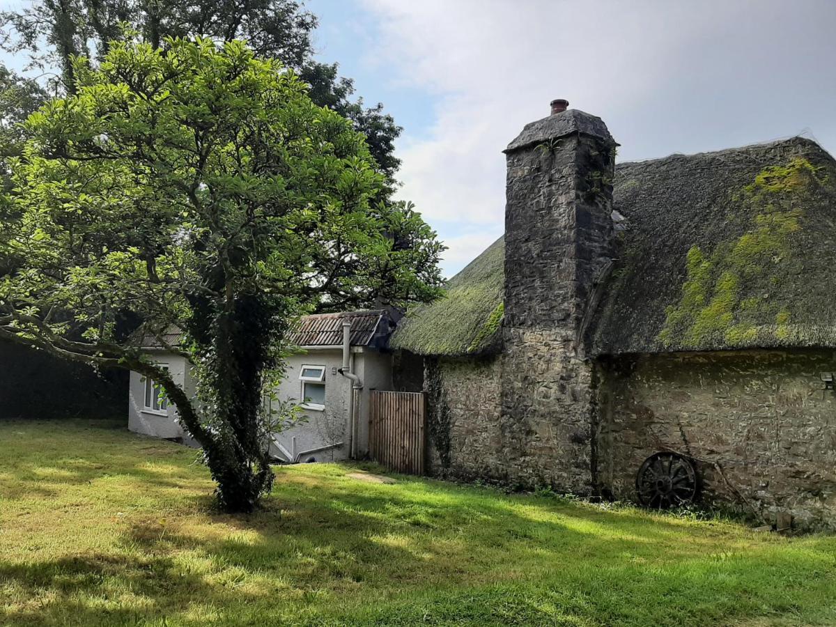 Quintessential, Secluded South Devon Cottage Plymouth Luaran gambar