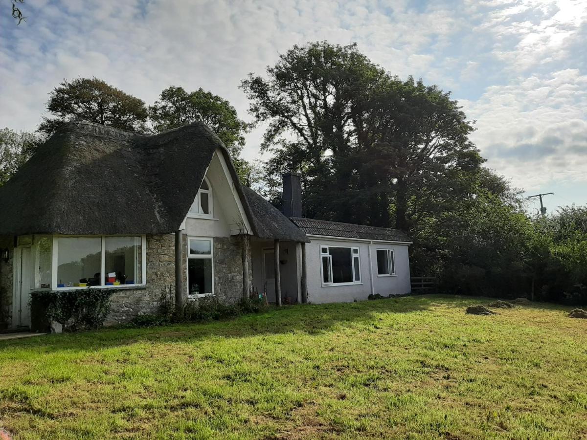 Quintessential, Secluded South Devon Cottage Plymouth Luaran gambar